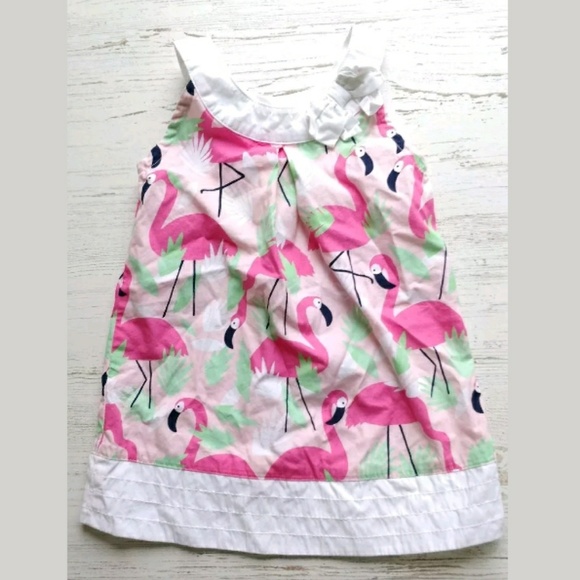 Gymboree Other - Gymboree Flamingo Dress Fruit Punch Baby Girl